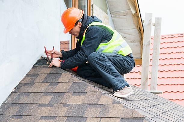 Best Roof Gutter Cleaning  in New Albany, MS