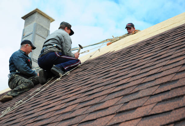 Best Residential Roofing Contractor  in New Albany, MS